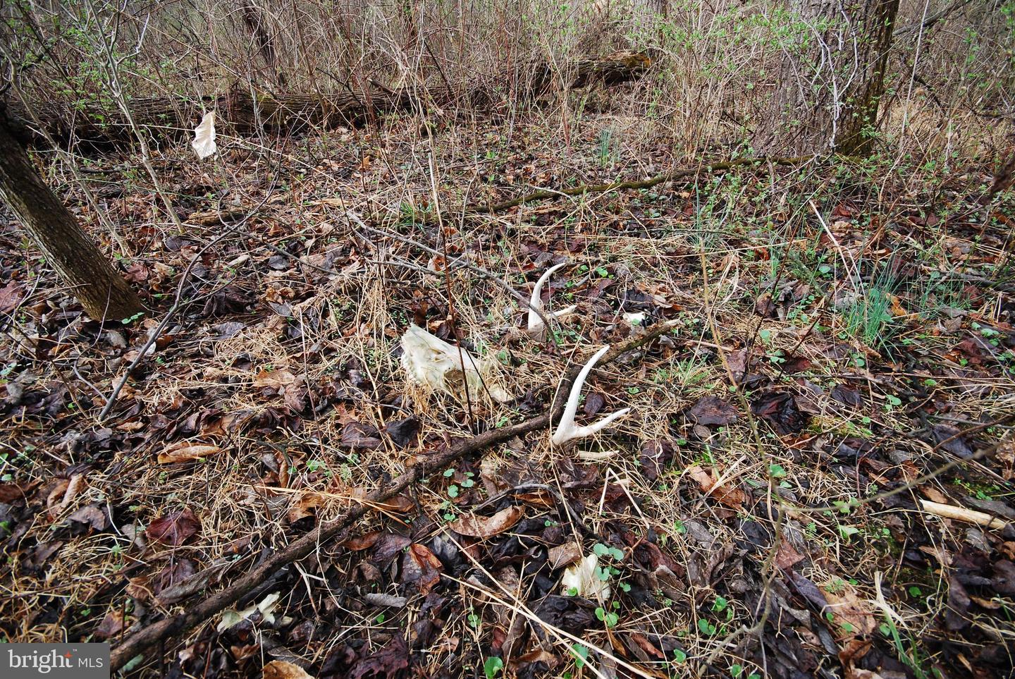 Dominion Rd Property Photo 50