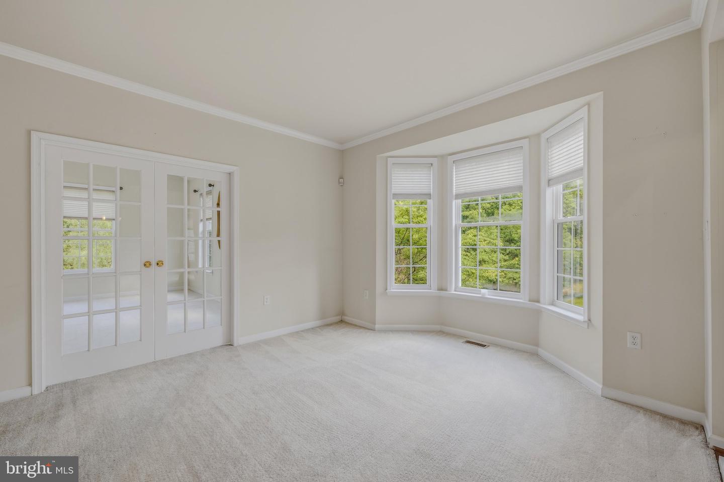 10 Cardiff Ct Property Photo 10