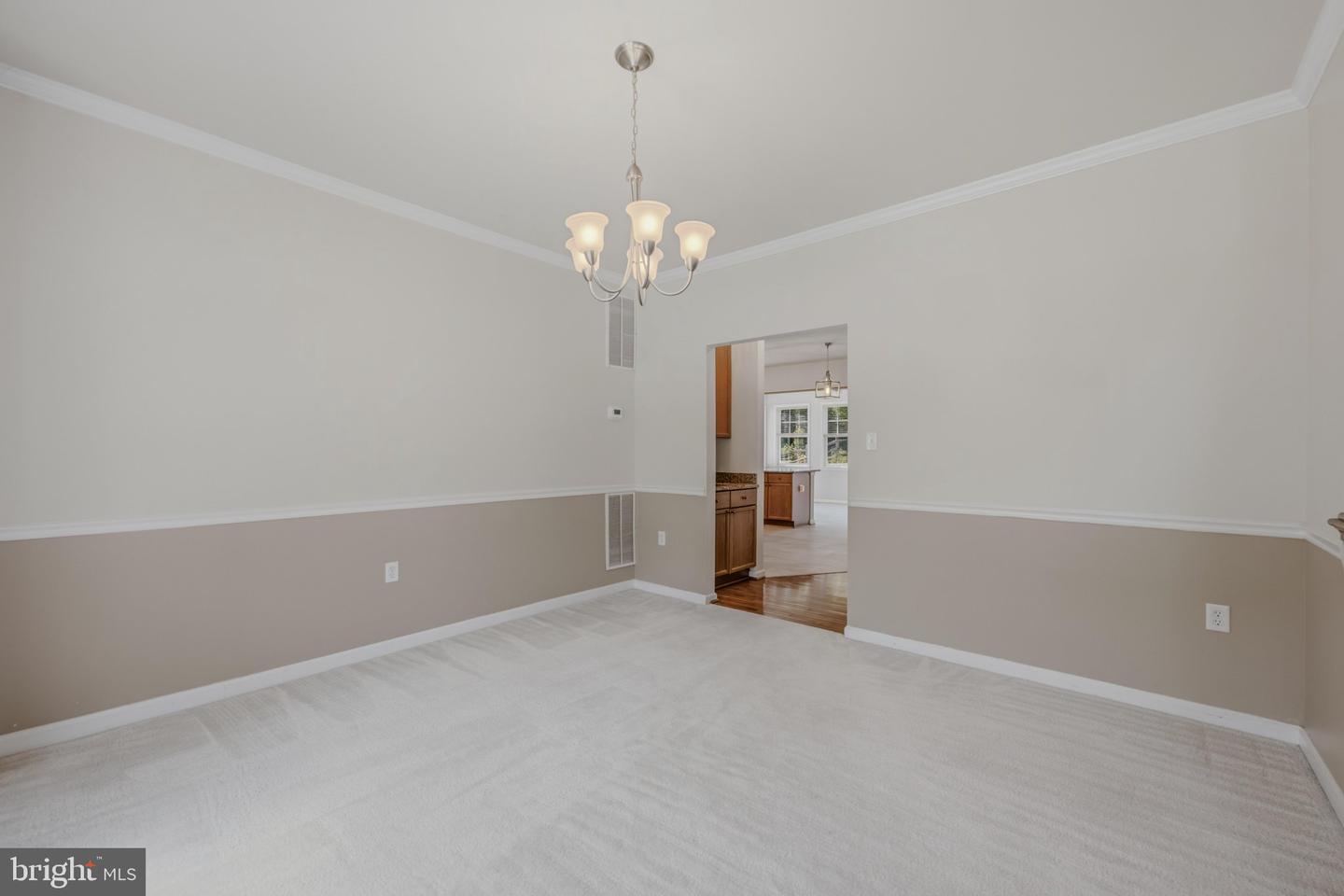 10 Cardiff Ct Property Photo 13