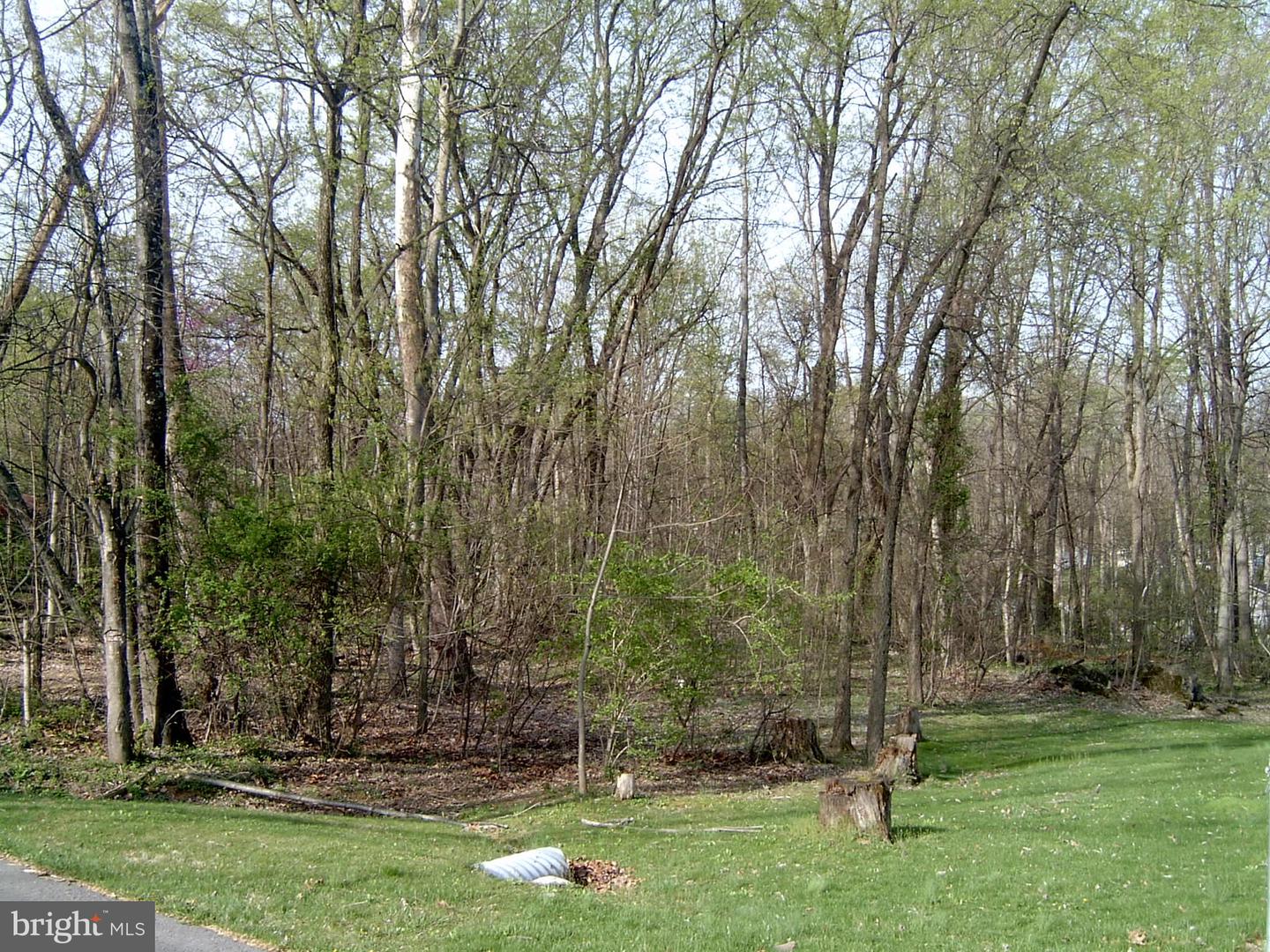 Lot 23 Emerald Dr Property Photo 1
