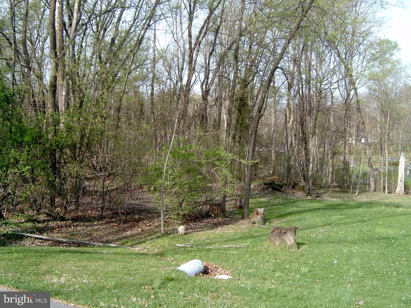 Lot 23 Emerald Dr Property Photo 2