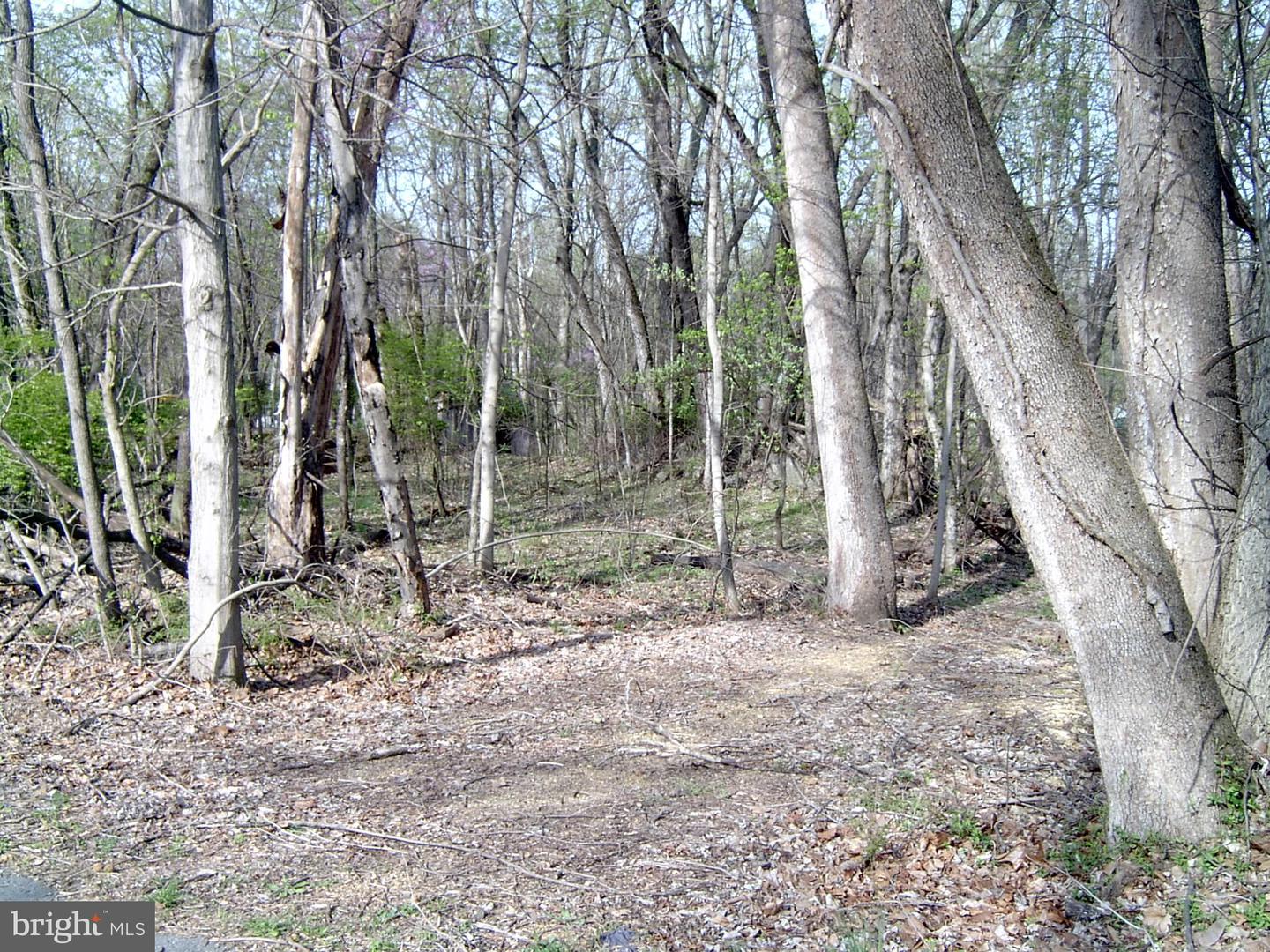 Lot 23 Emerald Dr Property Photo 4