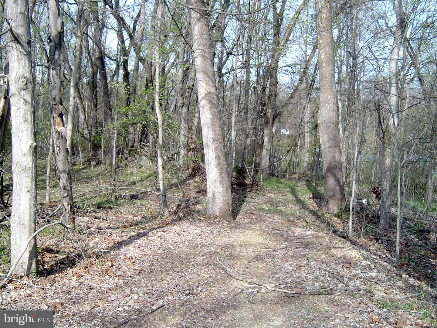 Lot 23 Emerald Dr Property Photo 5