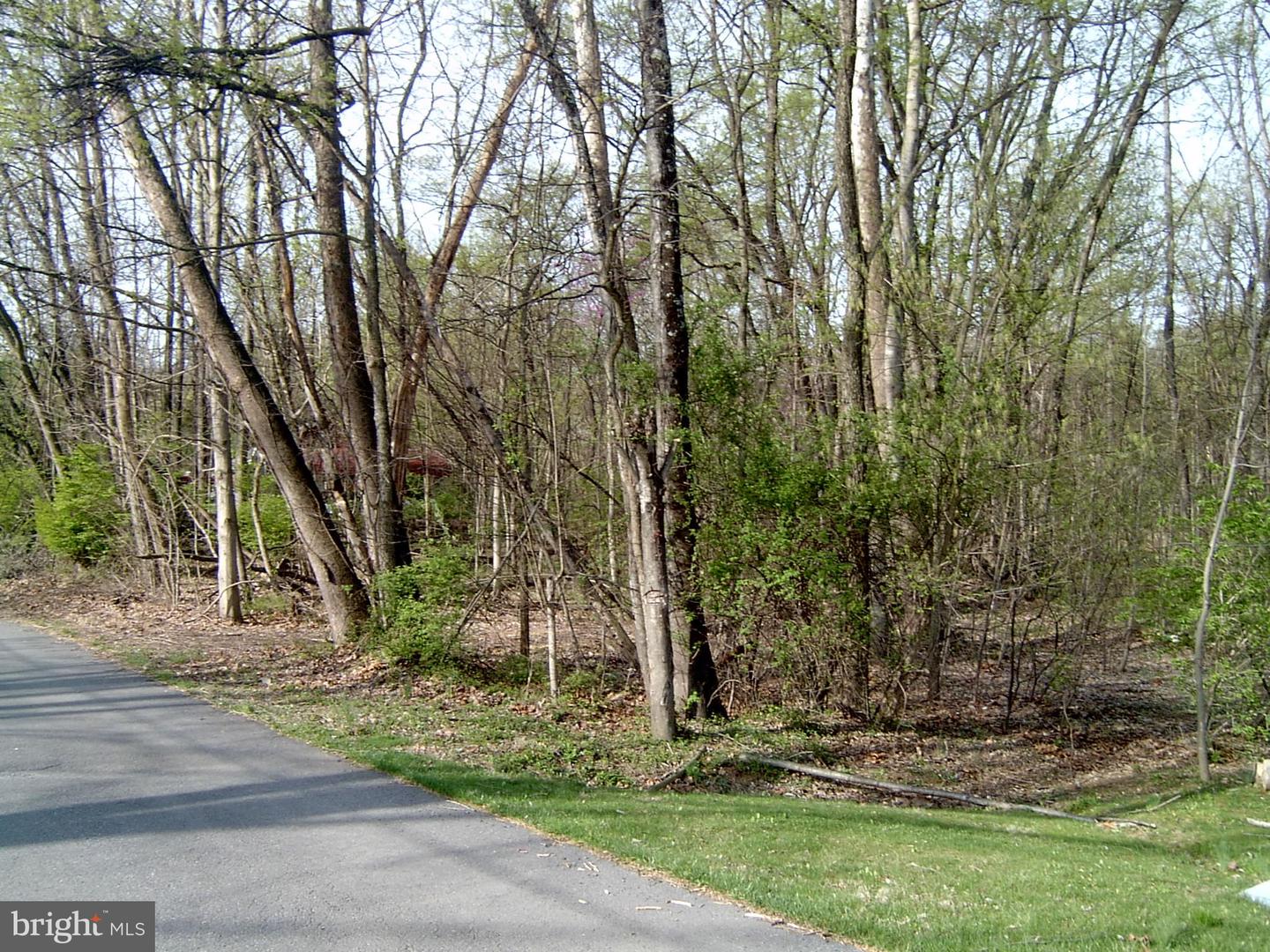 Lot 23 Emerald Dr Property Photo 6