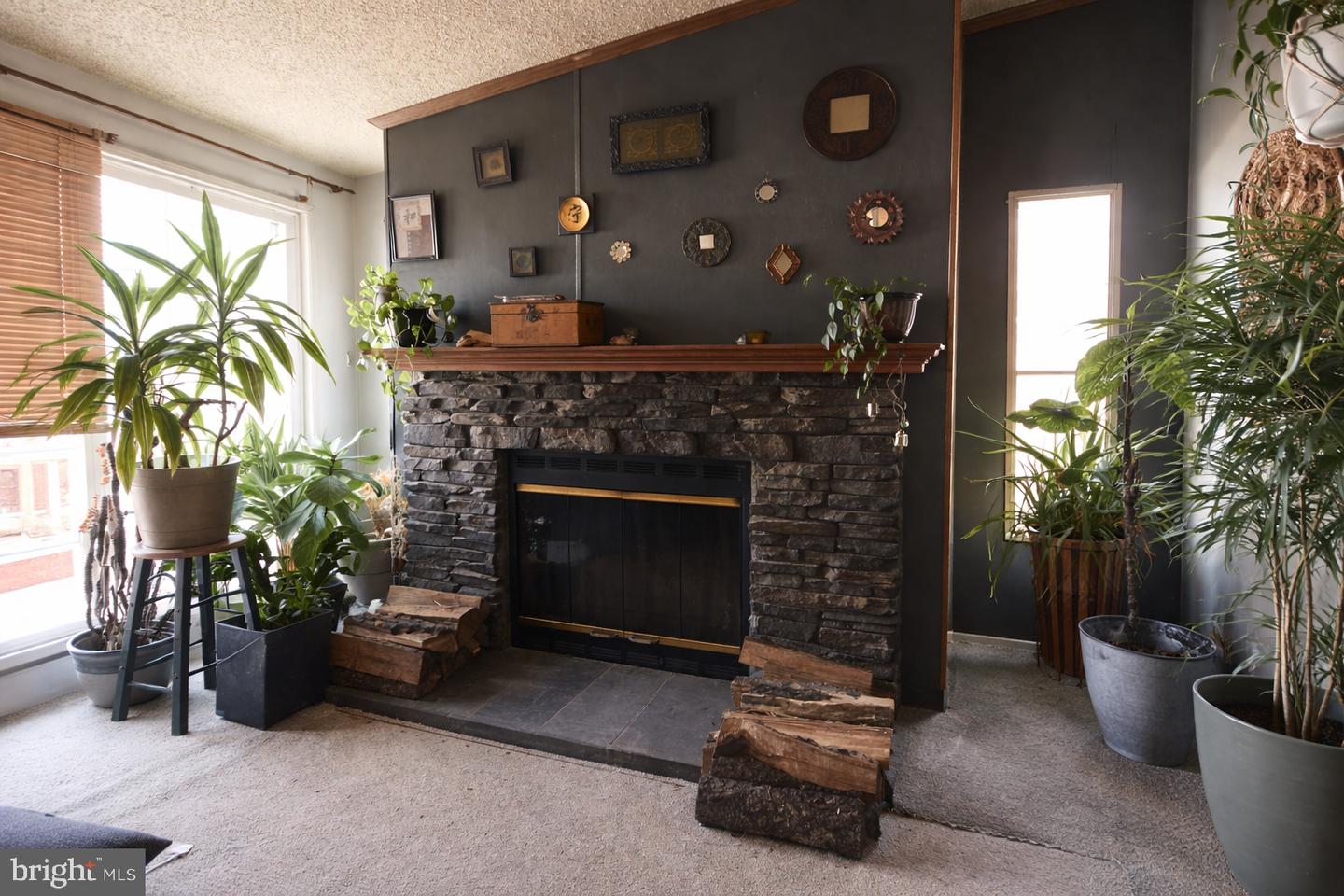 339 Valentine Property Photo 1