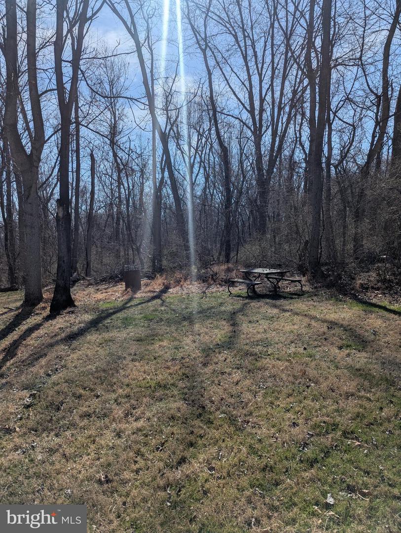 Block 69 Lot 31 Animal Road Property Photo 4