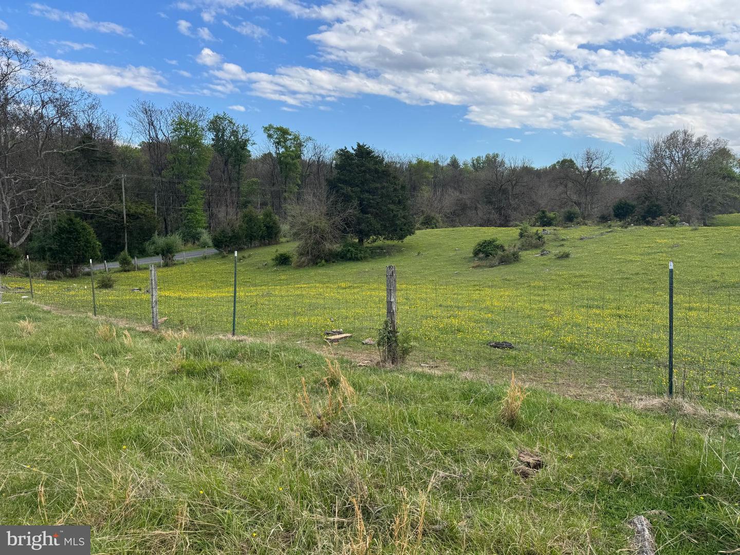 8.03 ACRES WHITINGS NECK RD Property Photo 1