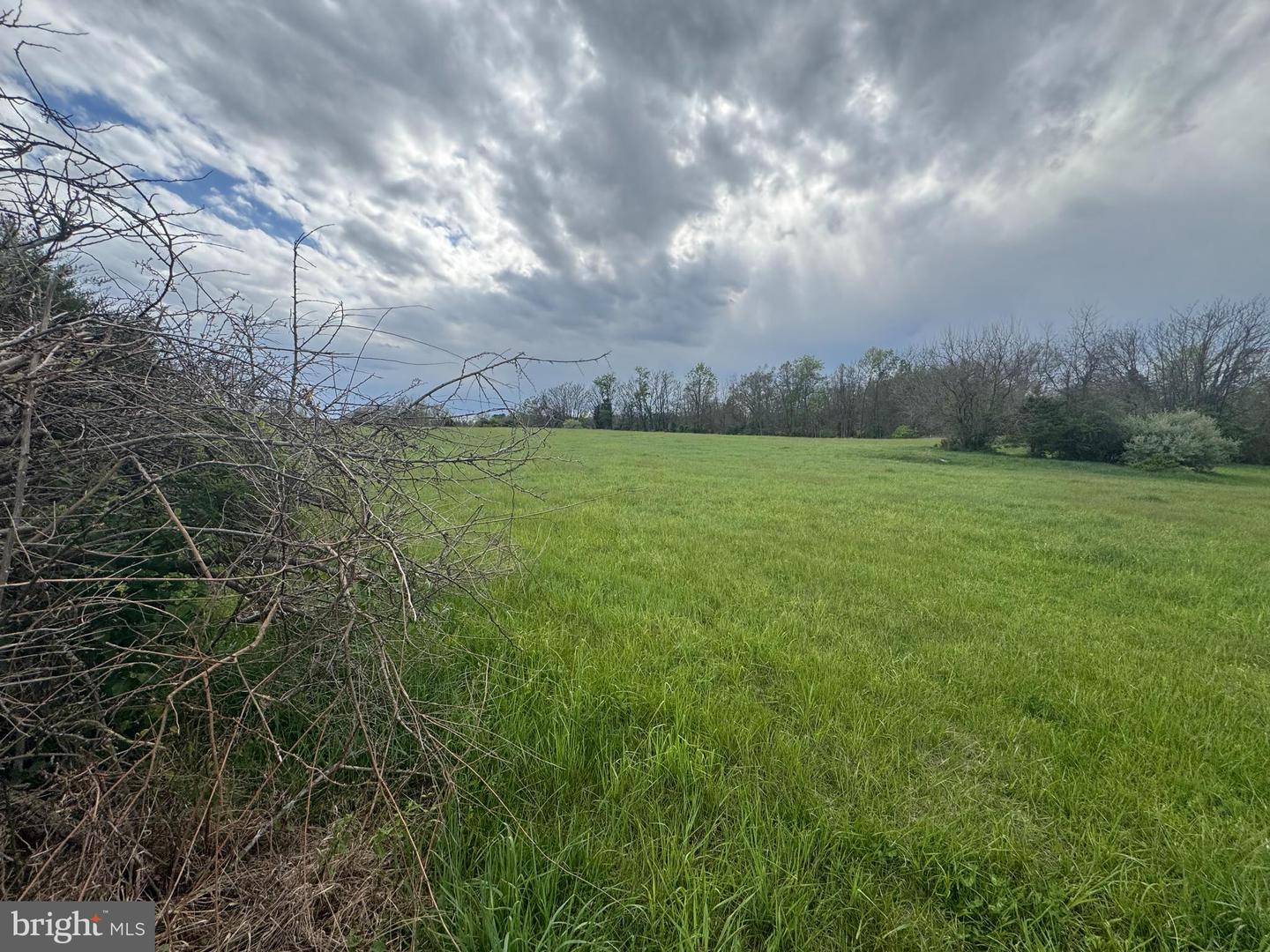 8.03 Acres Whitings Neck Rd Property Photo 2