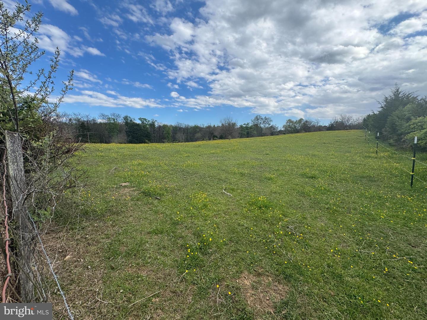 8.03 Acres Whitings Neck Rd Property Photo 3
