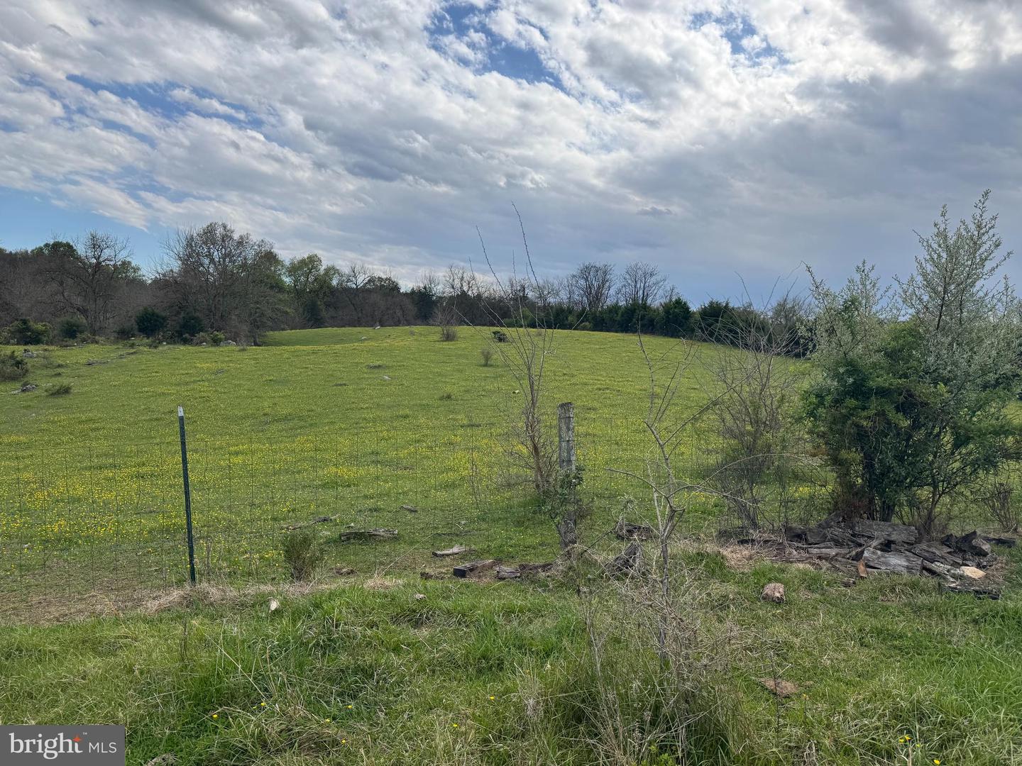 8.03 Acres Whitings Neck Rd Property Photo 4