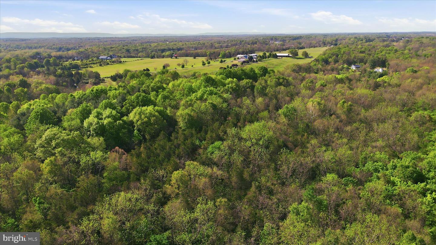Carlyle Rd Property Photo 3