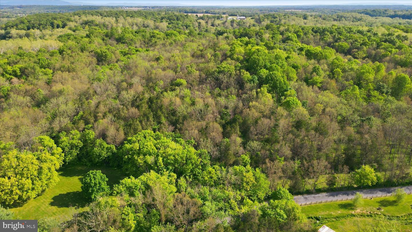 Carlyle Rd Property Photo 5