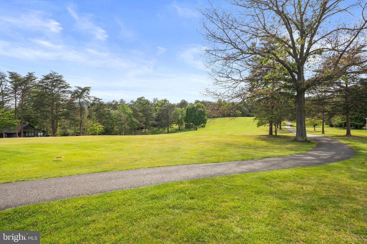 196 The Woods Rd Property Photo 56