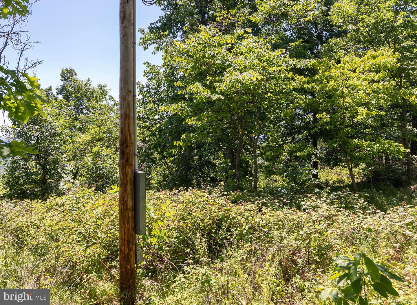 Lot 3 Shenandoah Overlook Property Photo 18
