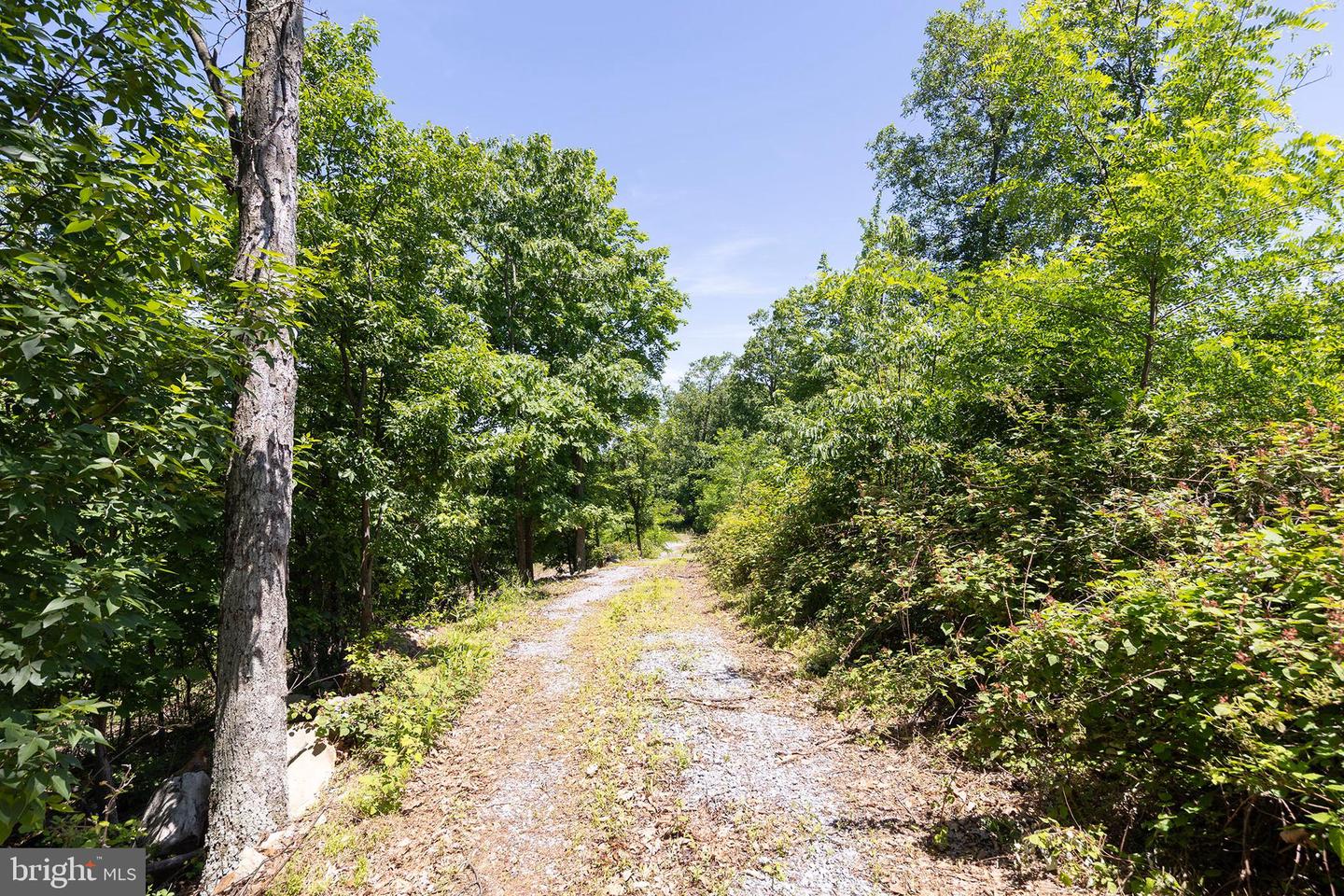 Lot 3 Shenandoah Overlook Property Photo 19