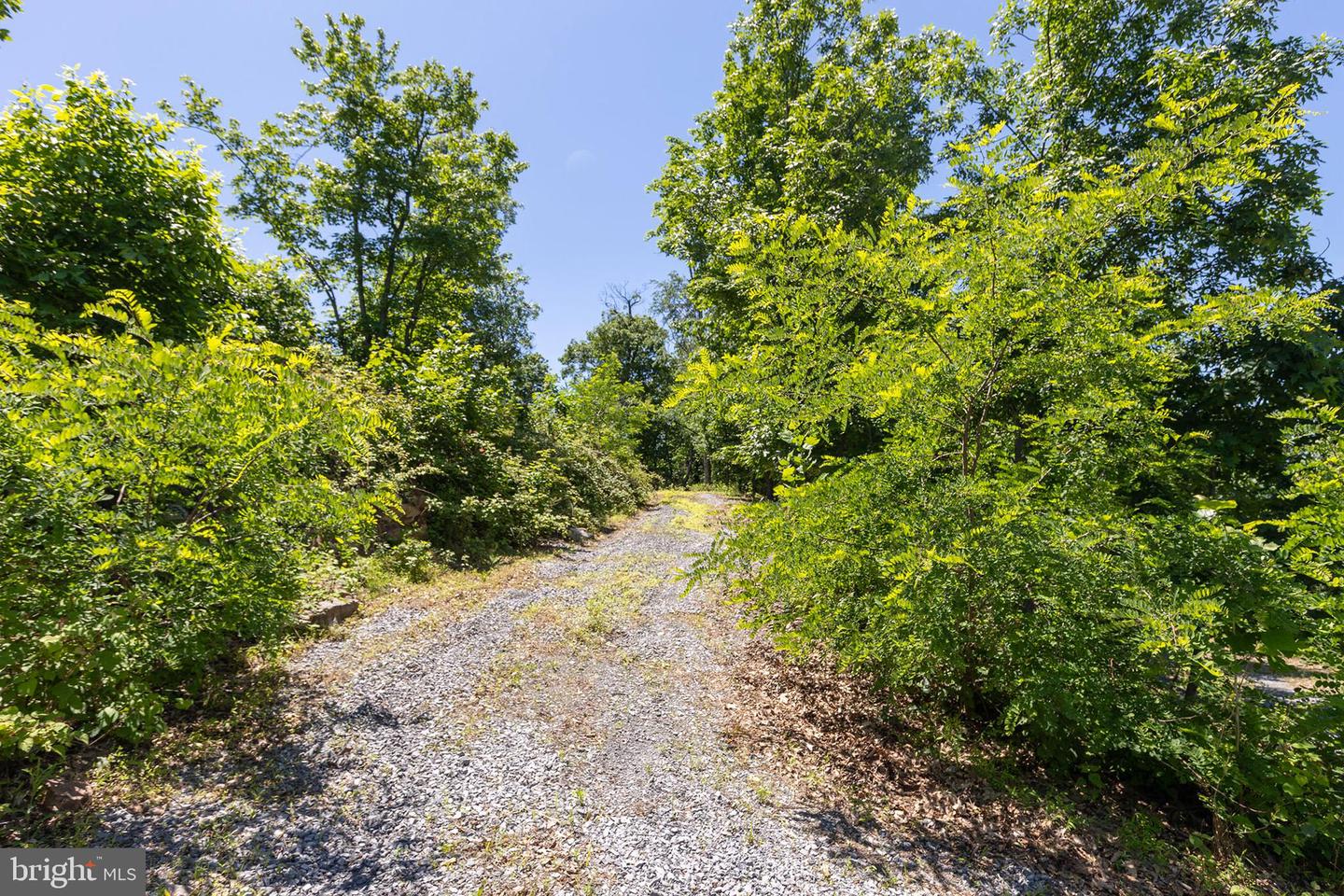 Lot 3 Shenandoah Overlook Property Photo 20