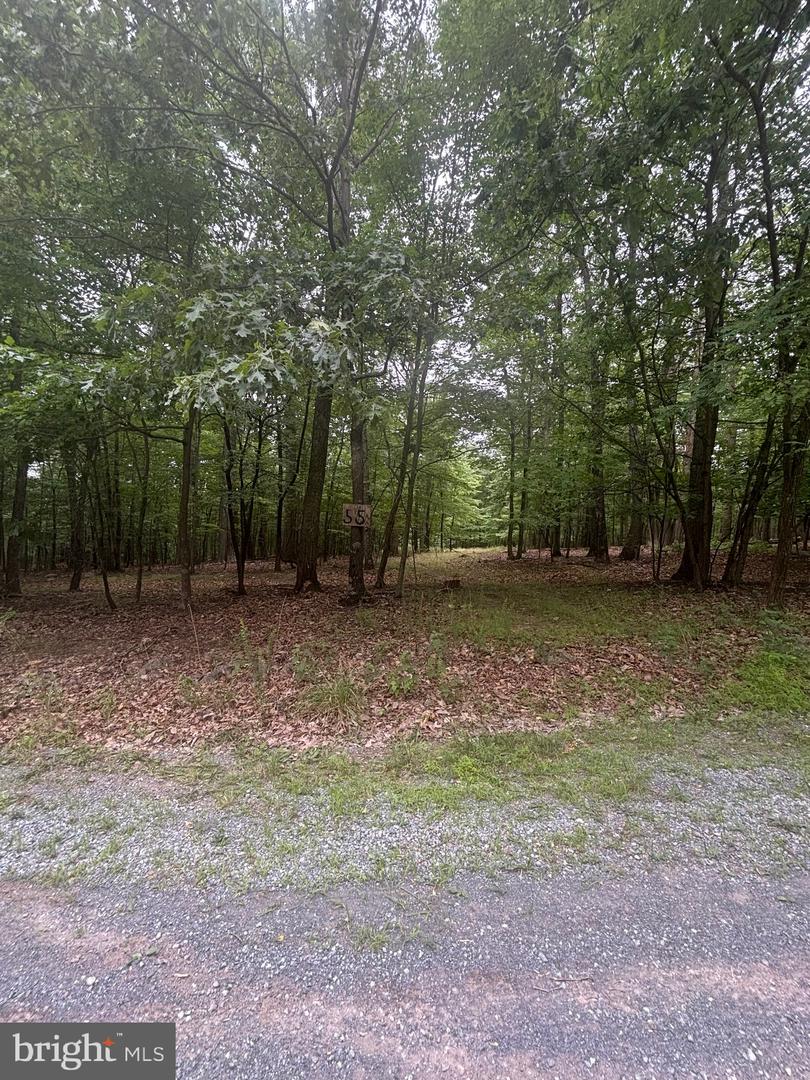 Lot 55 Grimaldi Property Photo 1