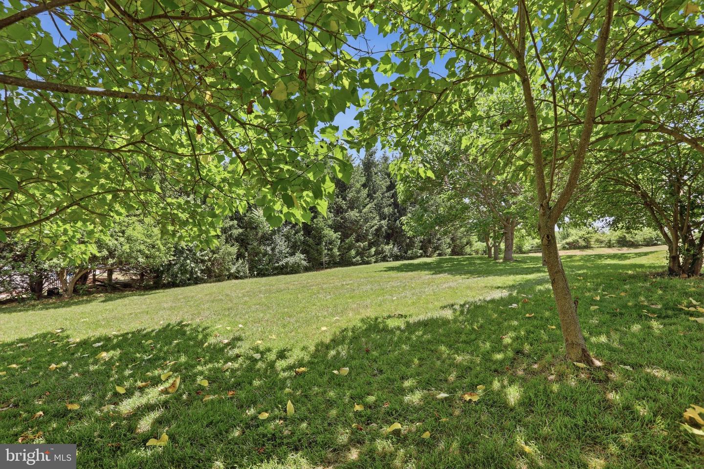 48 Lansing Ct Property Photo 43