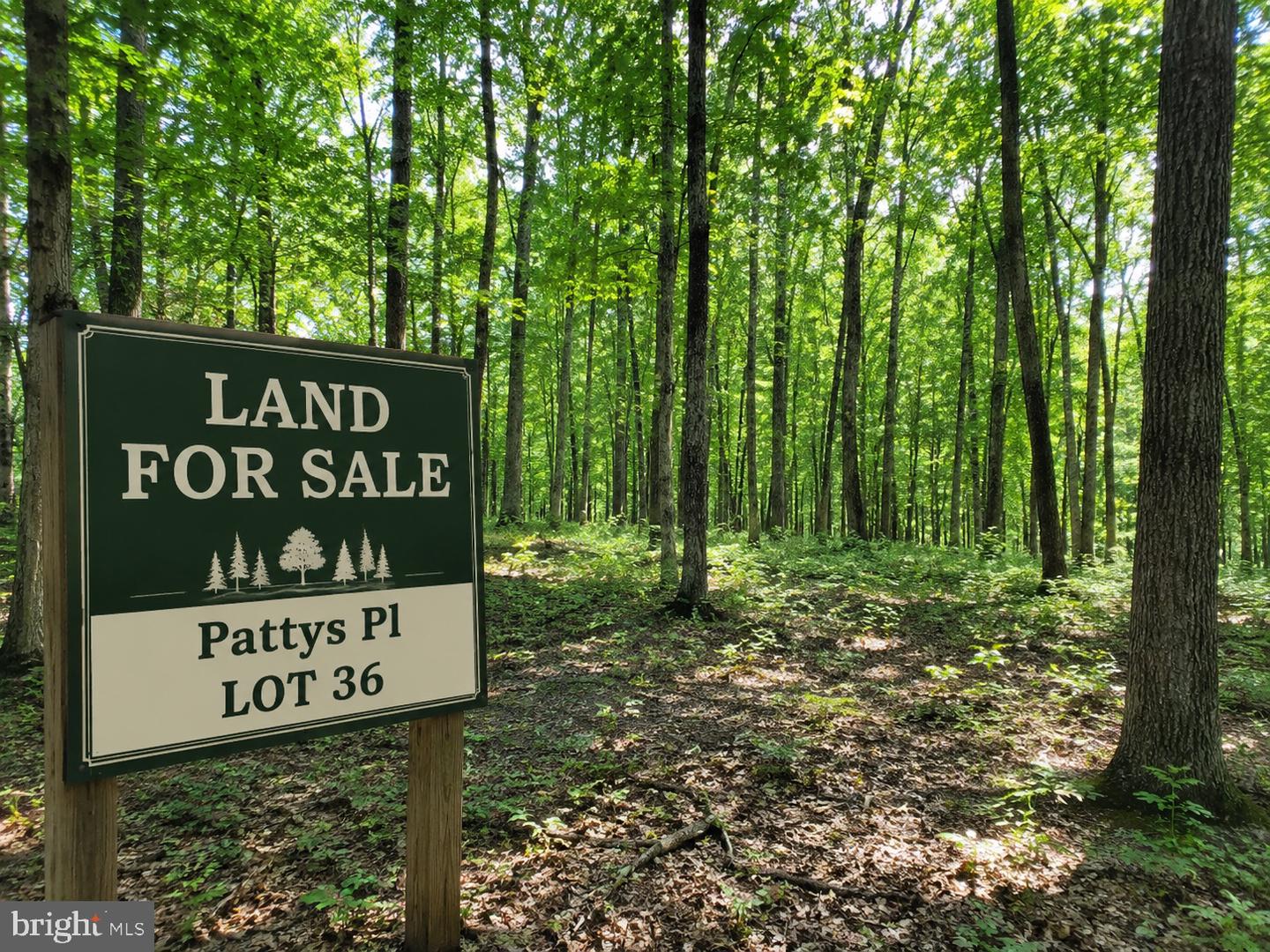 Pattys Pl Property Photo 1