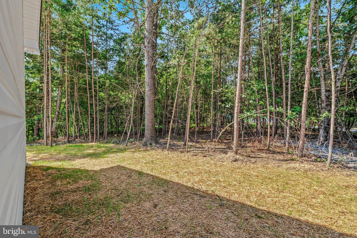 123 Jenkins Rd Property Photo 5