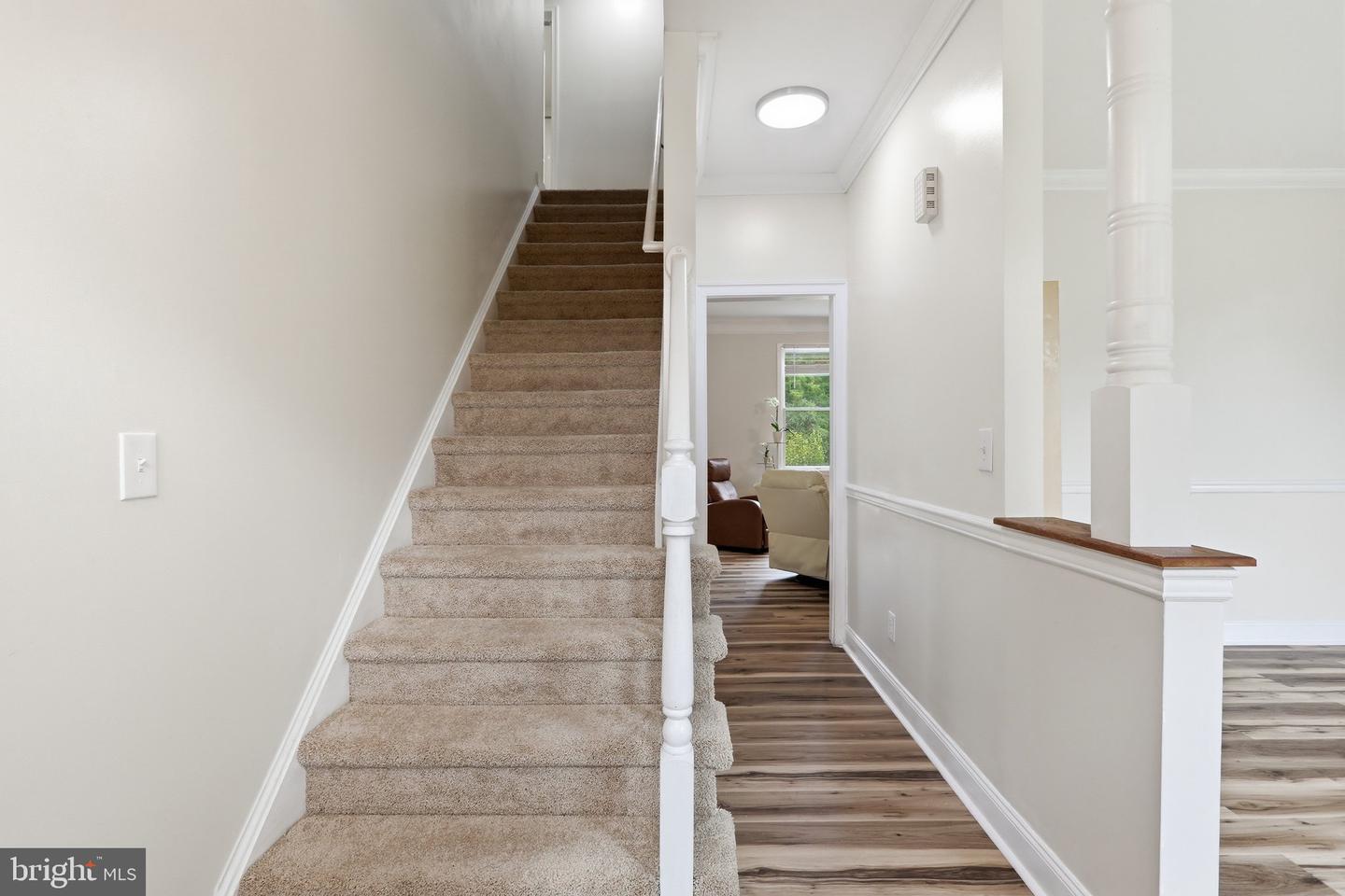 242 Street Of Dreams Property Photo 8