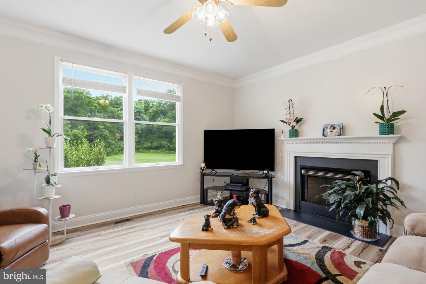 242 Street Of Dreams Property Photo 23