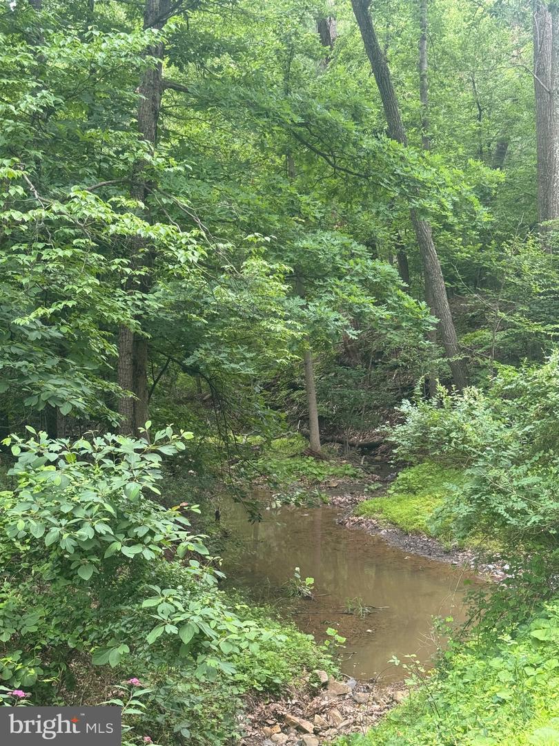 Lot 34 Audubon Rd Property Photo 3