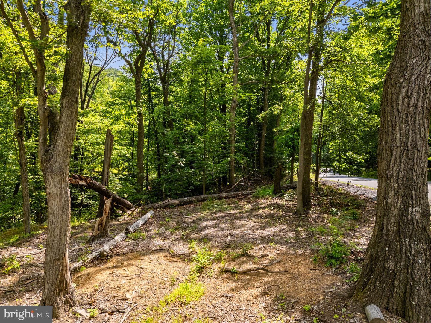 Lot 34 Audubon Rd Property Photo 12