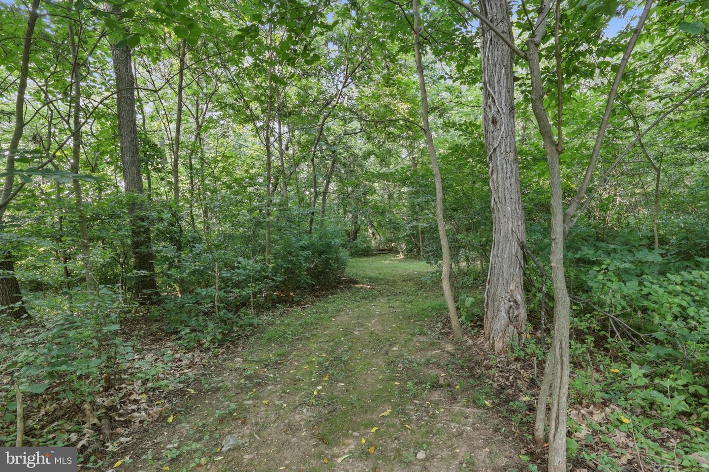 221 Hadley Dr Property Photo 52