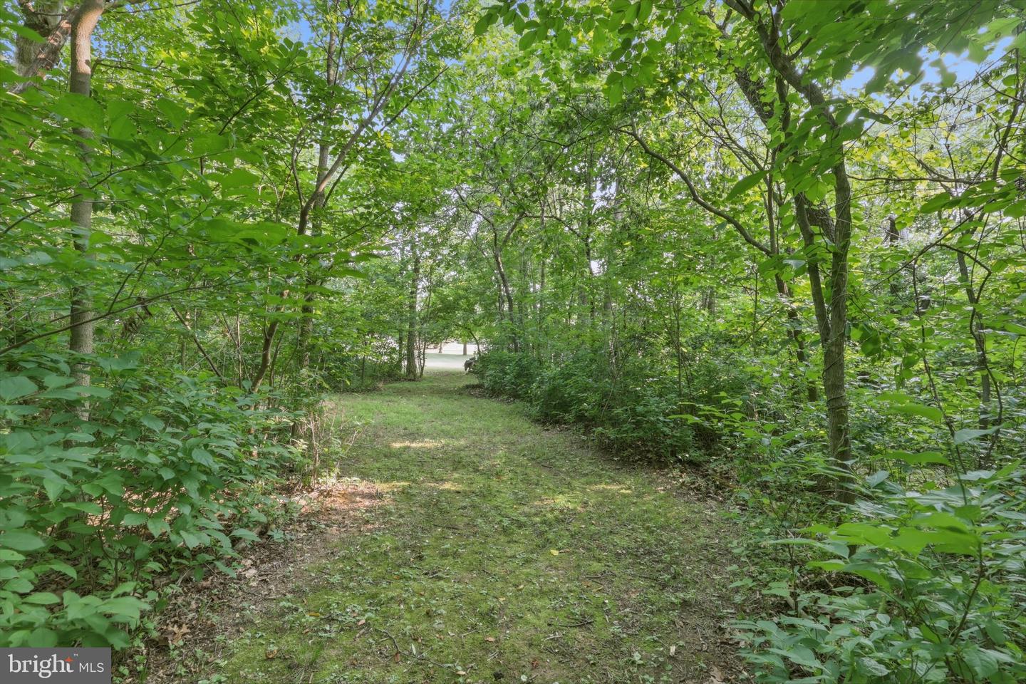221 Hadley Dr Property Photo 53