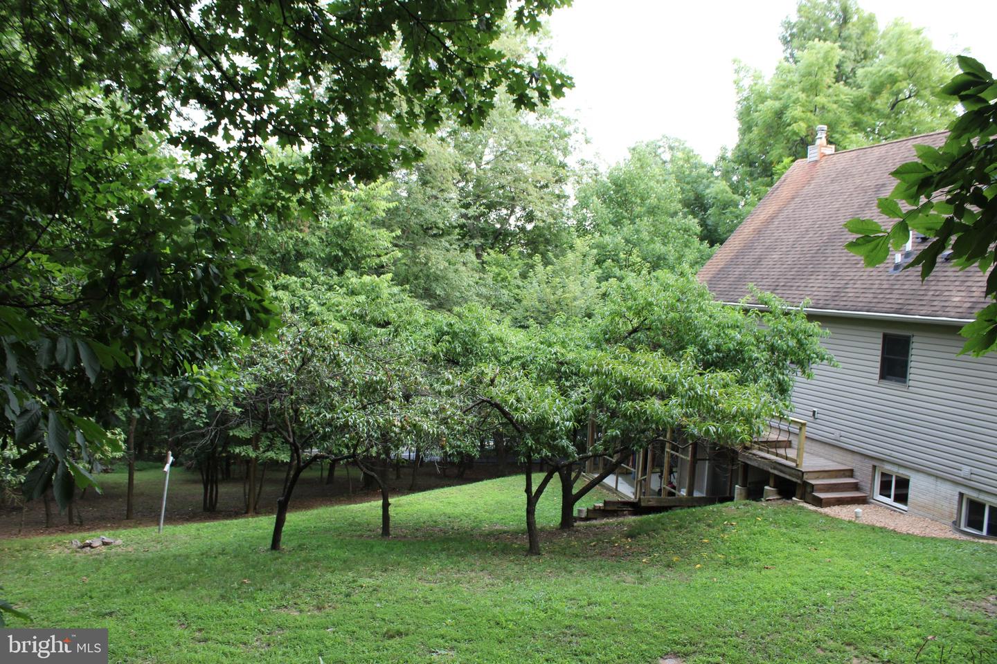 957 Butlers Chapel Rd Property Photo 24