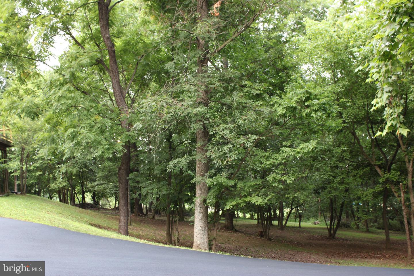 957 Butlers Chapel Rd Property Photo 30