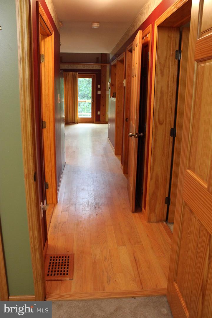 957 Butlers Chapel Rd Property Photo 70