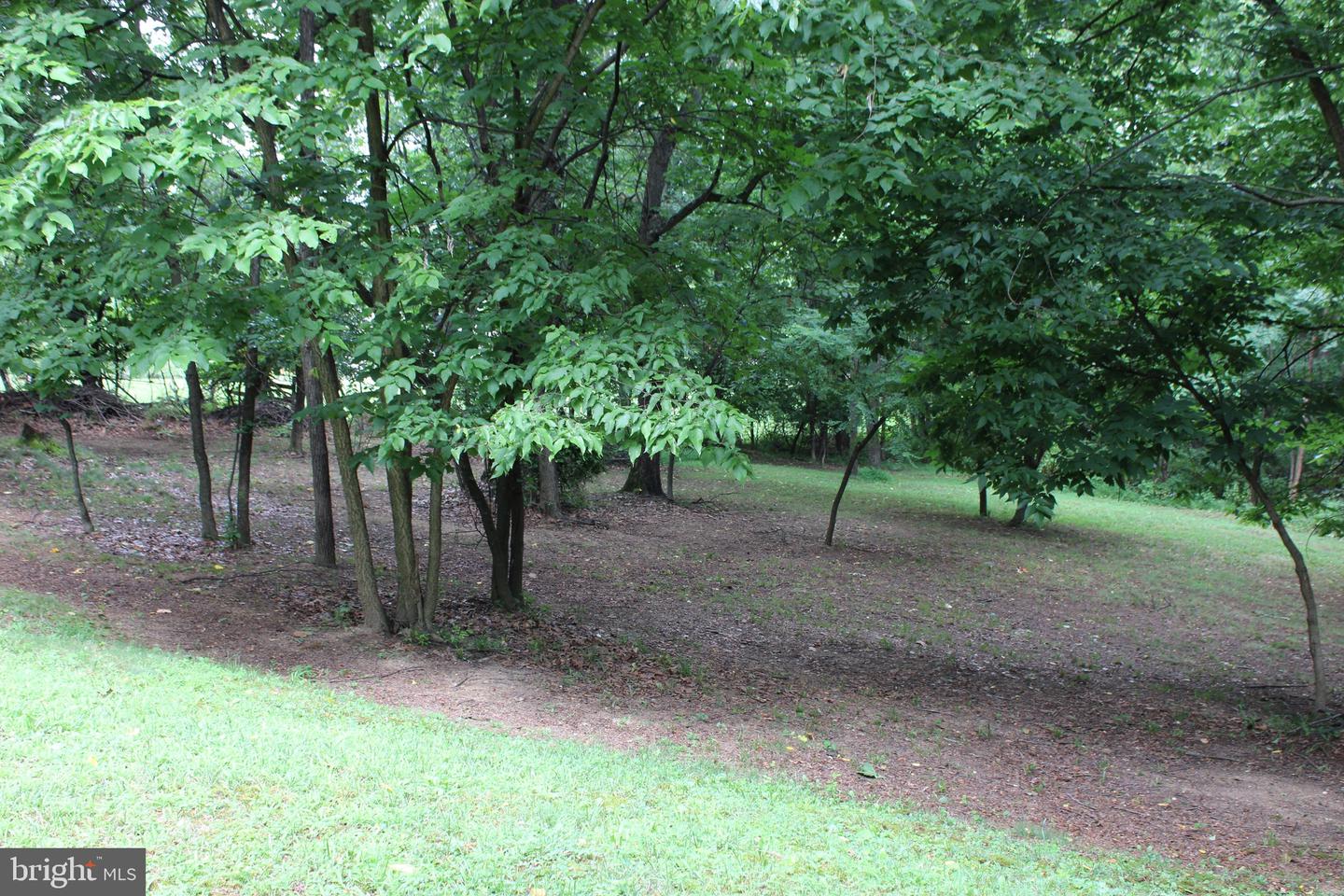 957 Butlers Chapel Rd Property Photo 104