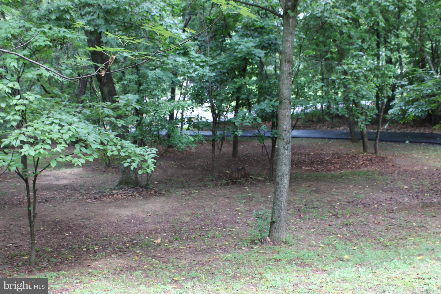 957 Butlers Chapel Rd Property Photo 105
