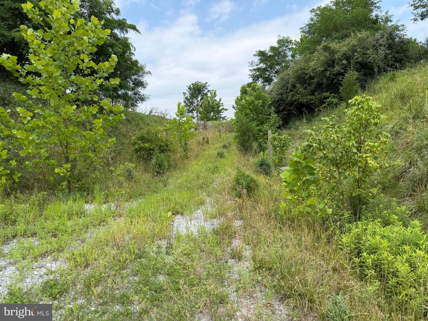 Tract 1: 43.5+/- Acres At 212 Id Van Metre Rd Property Photo 28