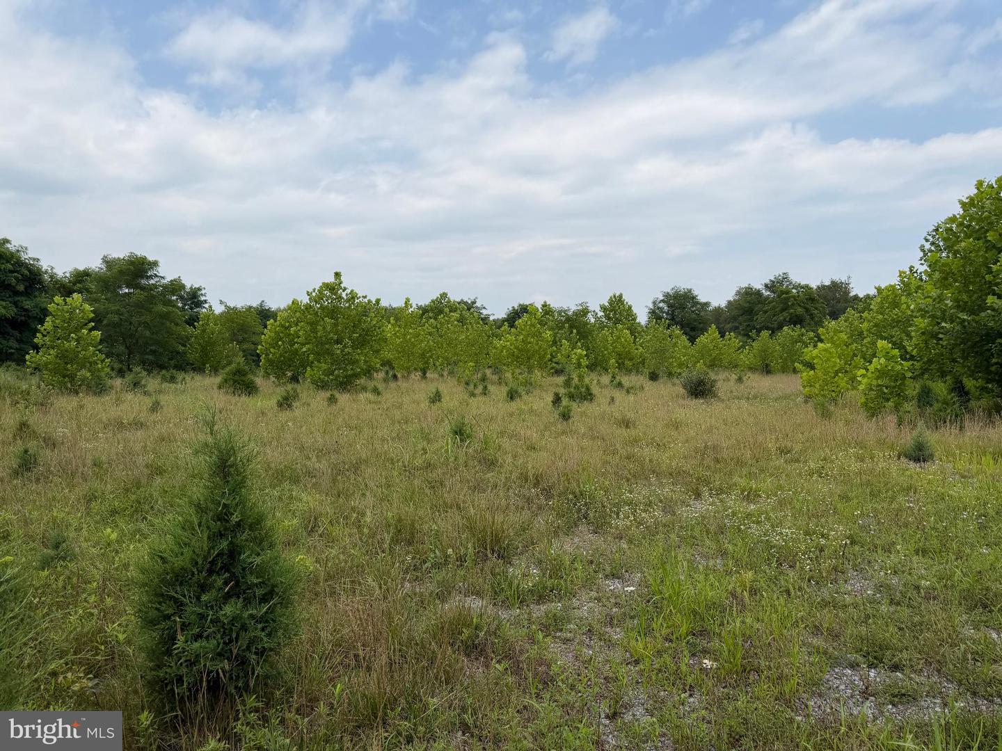 Tract 1: 43.5+/- Acres At 212 Id Van Metre Rd Property Photo 29