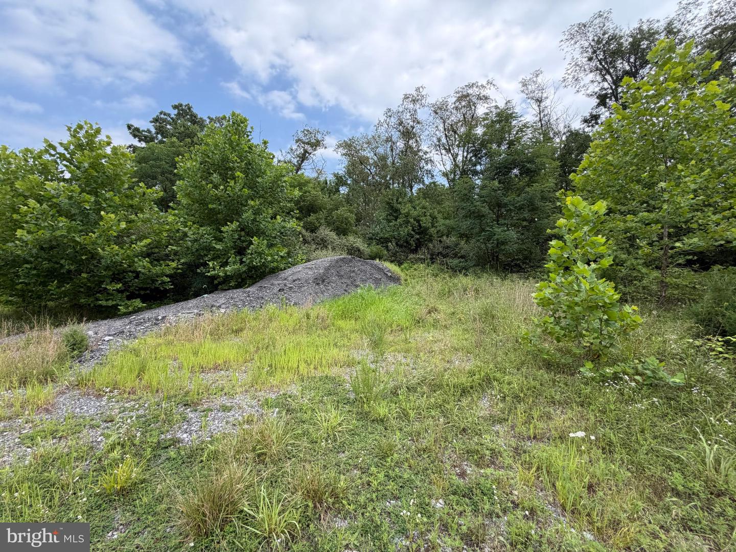 Tract 1: 43.5+/- Acres At 212 Id Van Metre Rd Property Photo 30