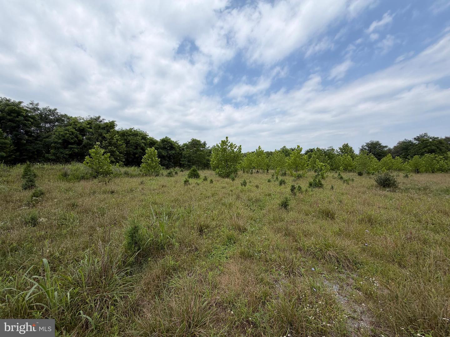 Tract 1: 43.5+/- Acres At 212 Id Van Metre Rd Property Photo 31