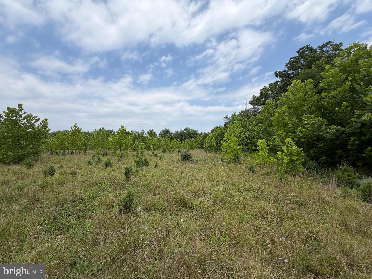 Tract 1: 43.5+/- Acres At 212 Id Van Metre Rd Property Photo 32