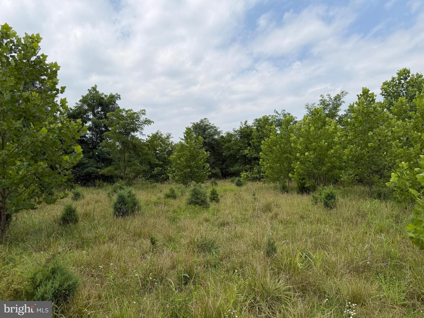 Tract 1: 43.5+/- Acres At 212 Id Van Metre Rd Property Photo 34