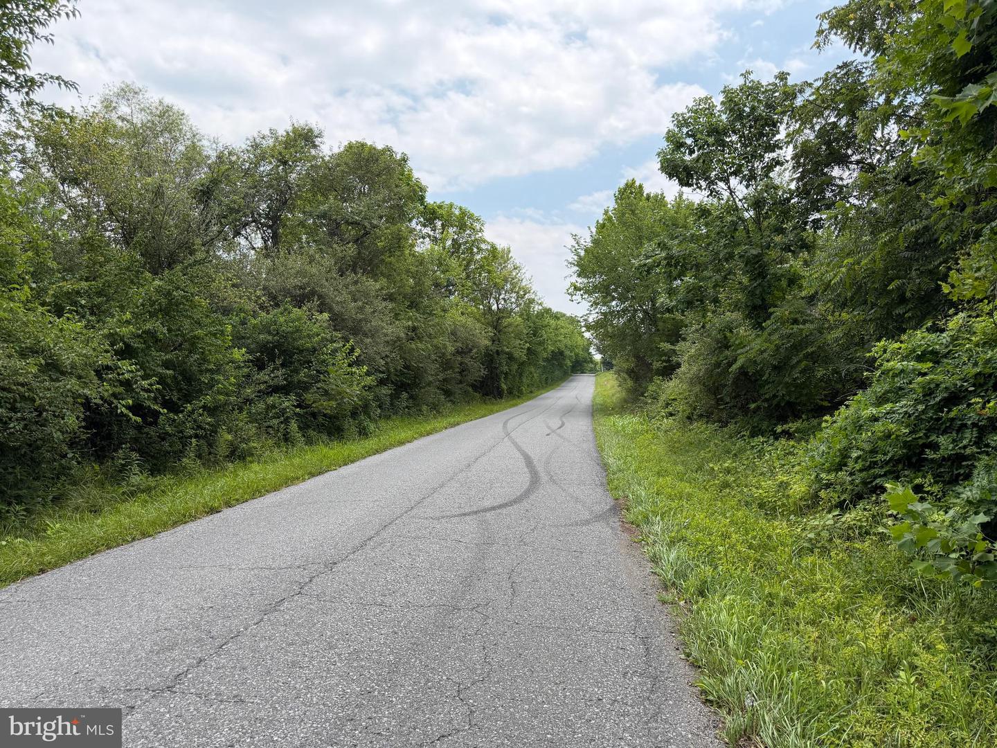 Tract 1: 43.5+/- Acres At 212 Id Van Metre Rd Property Photo 35