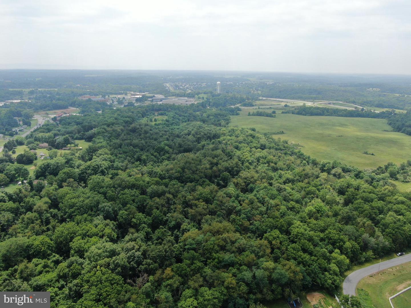 Tract 2: 5.85+/- Acres Charles Town Rd Property Photo 6