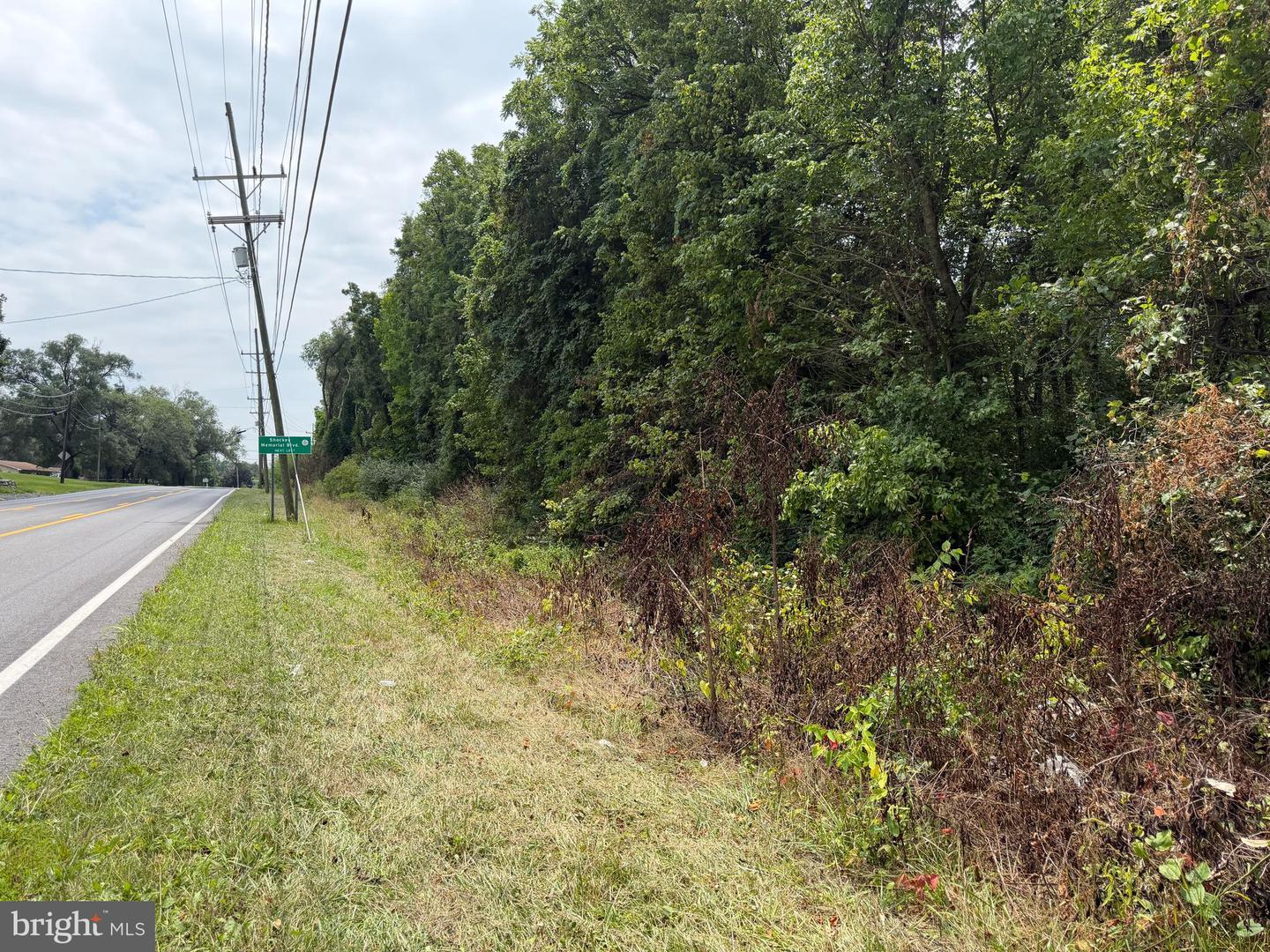 Tract 2: 5.85+/- Acres Charles Town Rd Property Photo 9