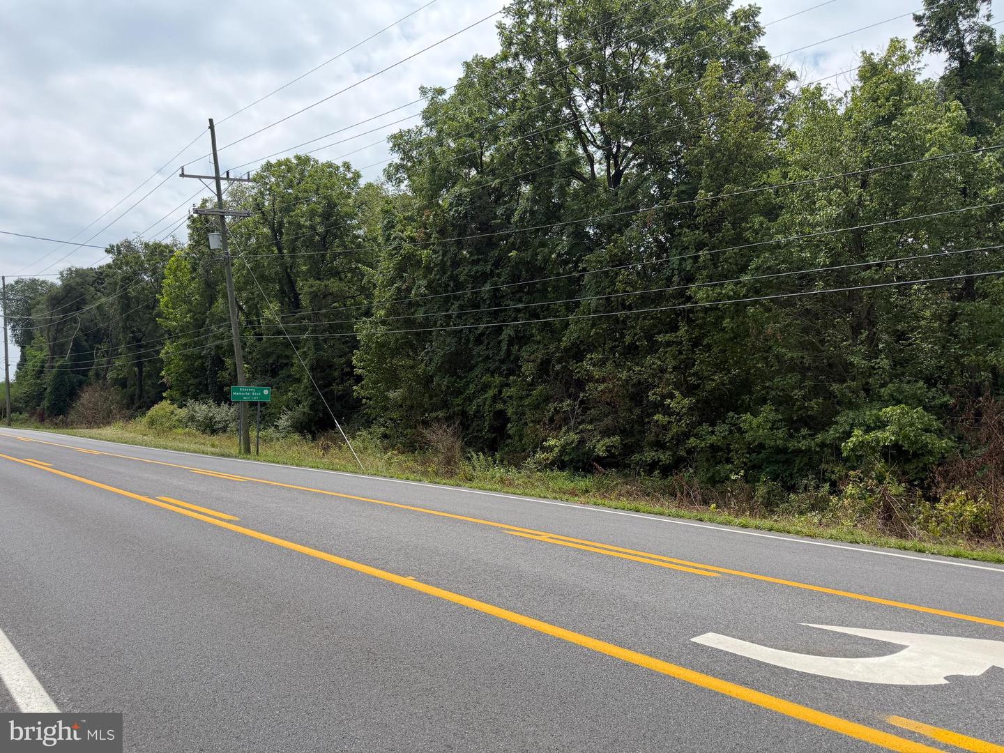 Tract 2: 5.85+/- Acres Charles Town Rd Property Photo 10