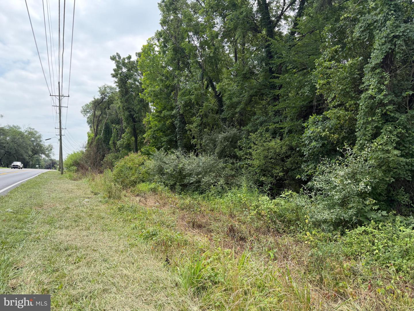 Tract 2: 5.85+/- Acres Charles Town Rd Property Photo 12
