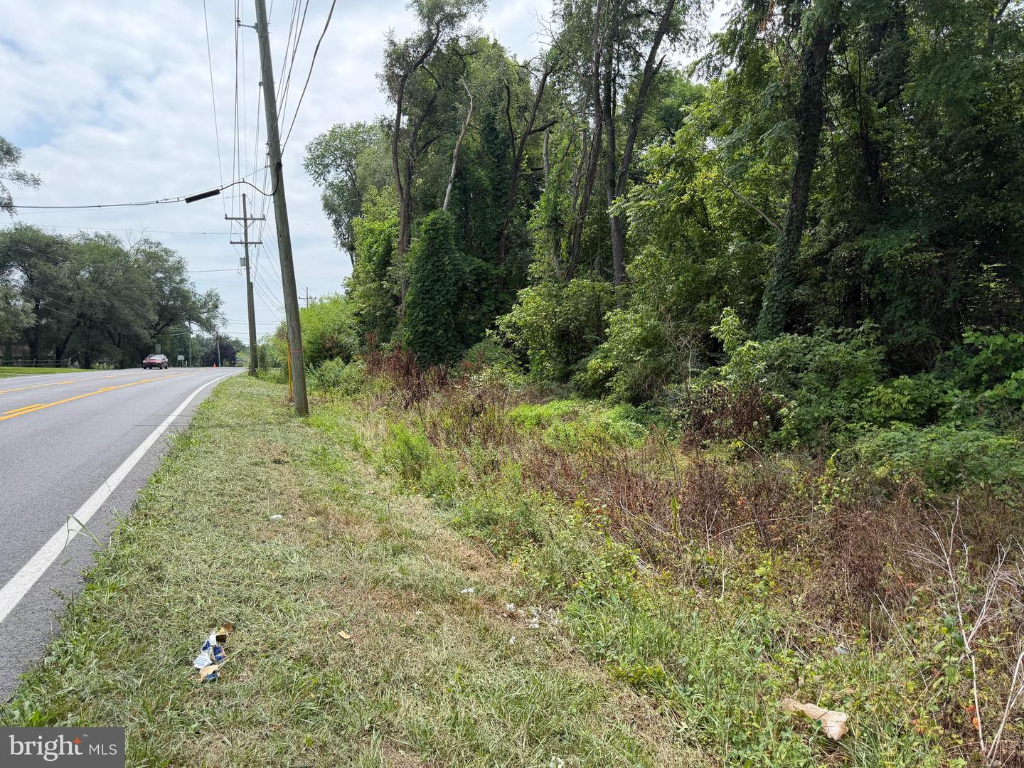 Tract 2: 5.85+/- Acres Charles Town Rd Property Photo 14