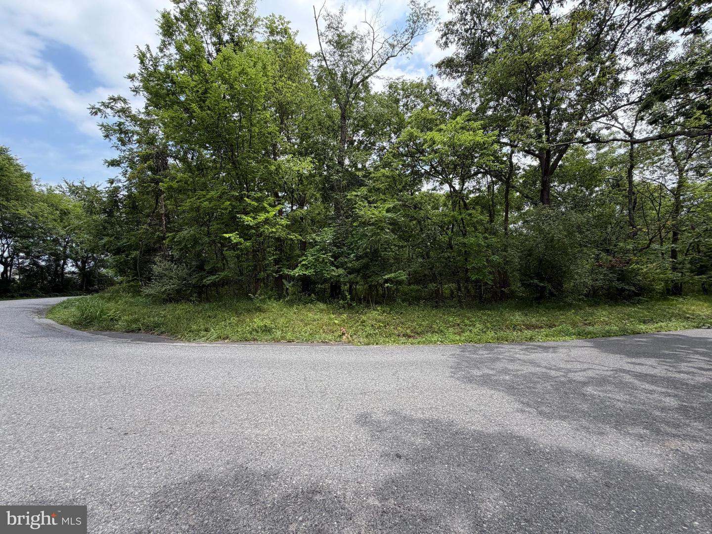 Tract 3: 2+/- Acres Id Van Metre Rd Property Photo 5