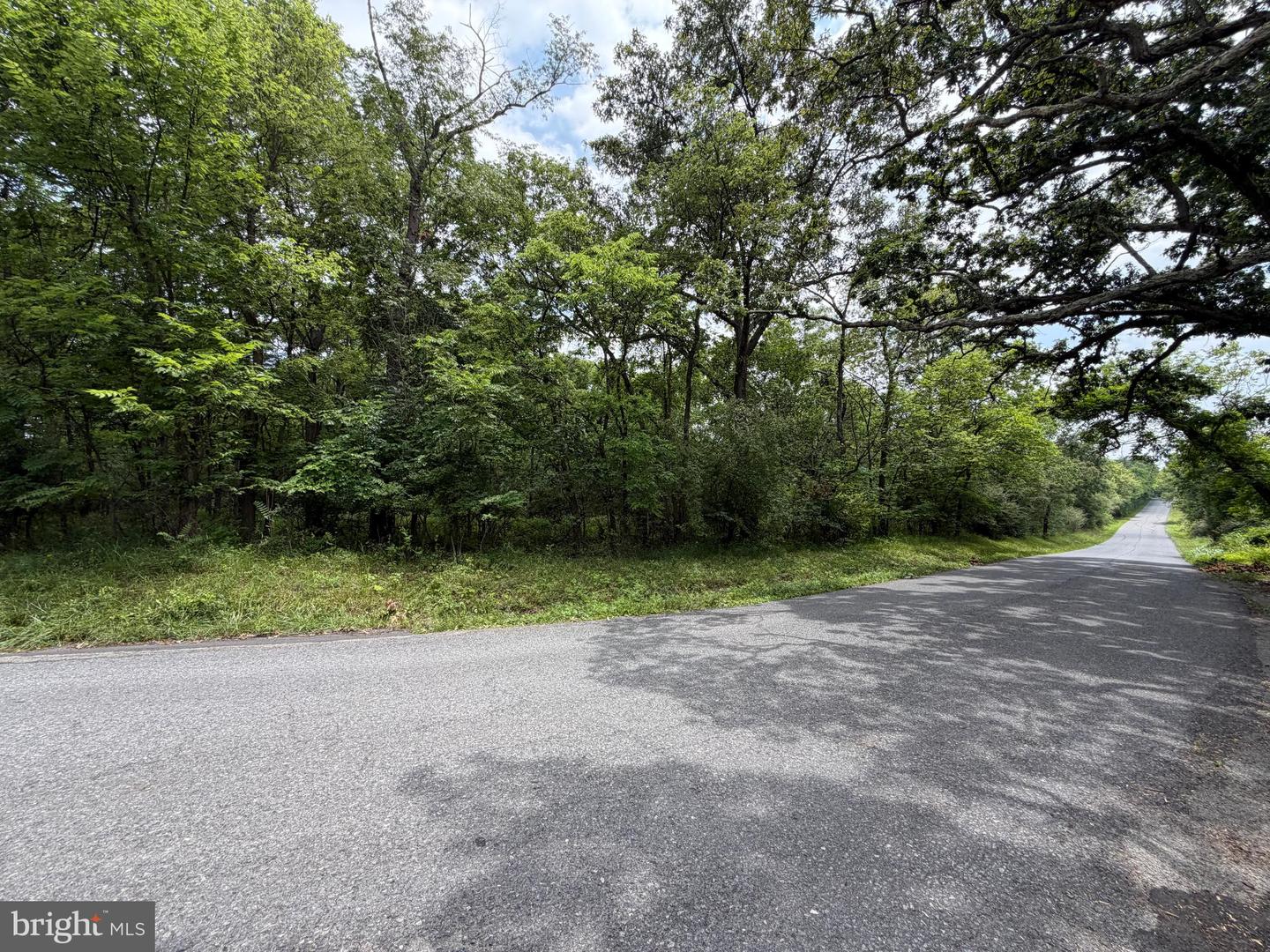 Tract 3: 2+/- Acres Id Van Metre Rd Property Photo 6