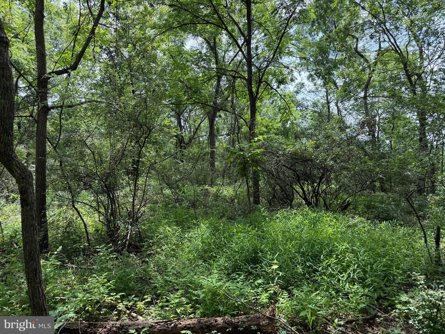 Tract 3: 2+/- Acres Id Van Metre Rd Property Photo 7